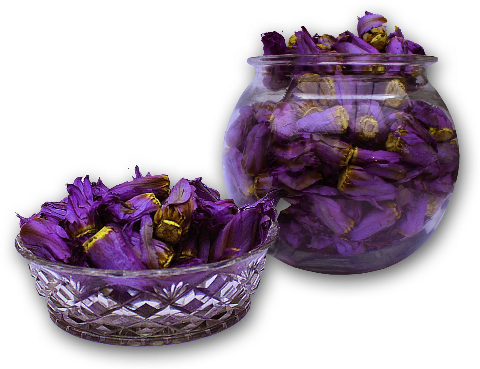 Blue Lotus Closed Flowers (Nymphaea caerulea) The Blue Lotus Shop