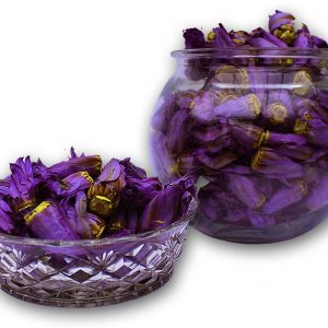 Blue Lotus (Blue Lily) Closed Flowers (Nymphaea caerulea)