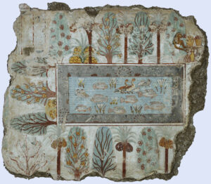 A rectangular fishpond on a frescoe in Nebumans tomb. Lotus flowers are growing in the pond.