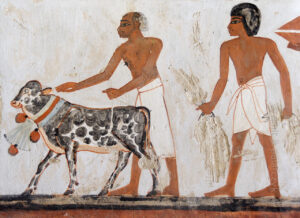 A procession showing a calf decorated with a Blue Lotus