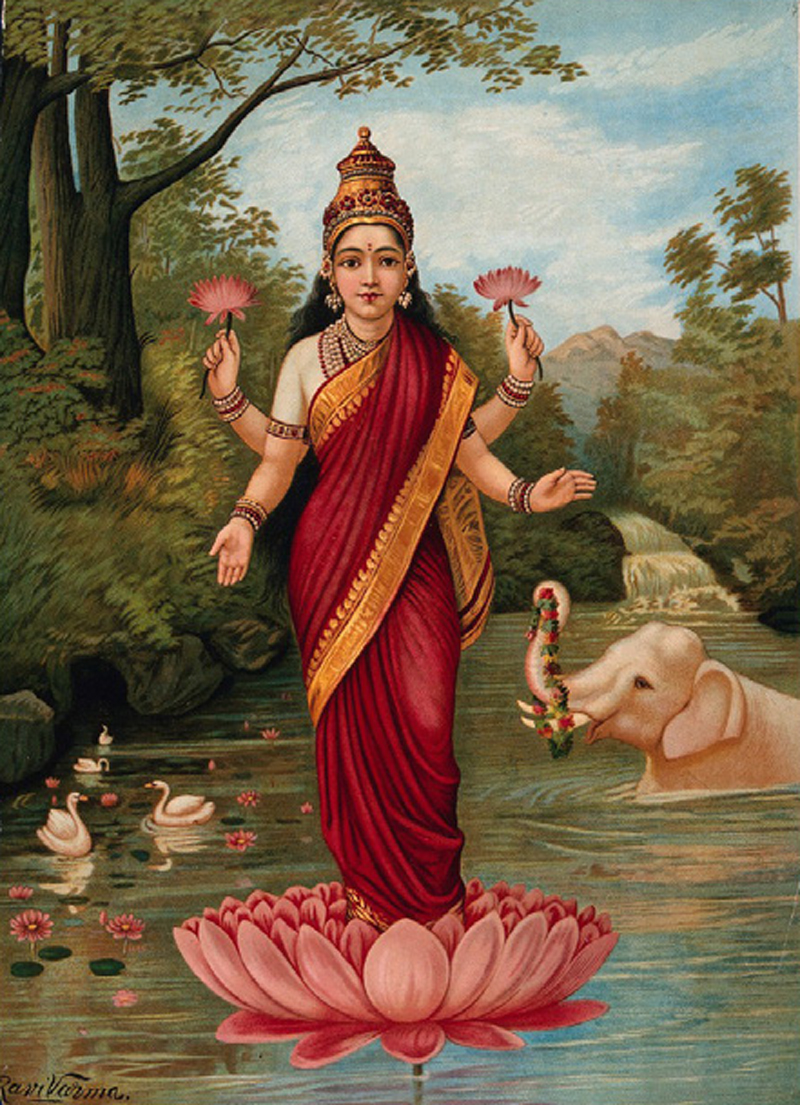 Symbolism of the Lotus The Blue Lotus Shop