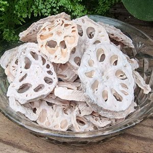 Lotus Roots (Nelumbo nucifera) - Dehydrated